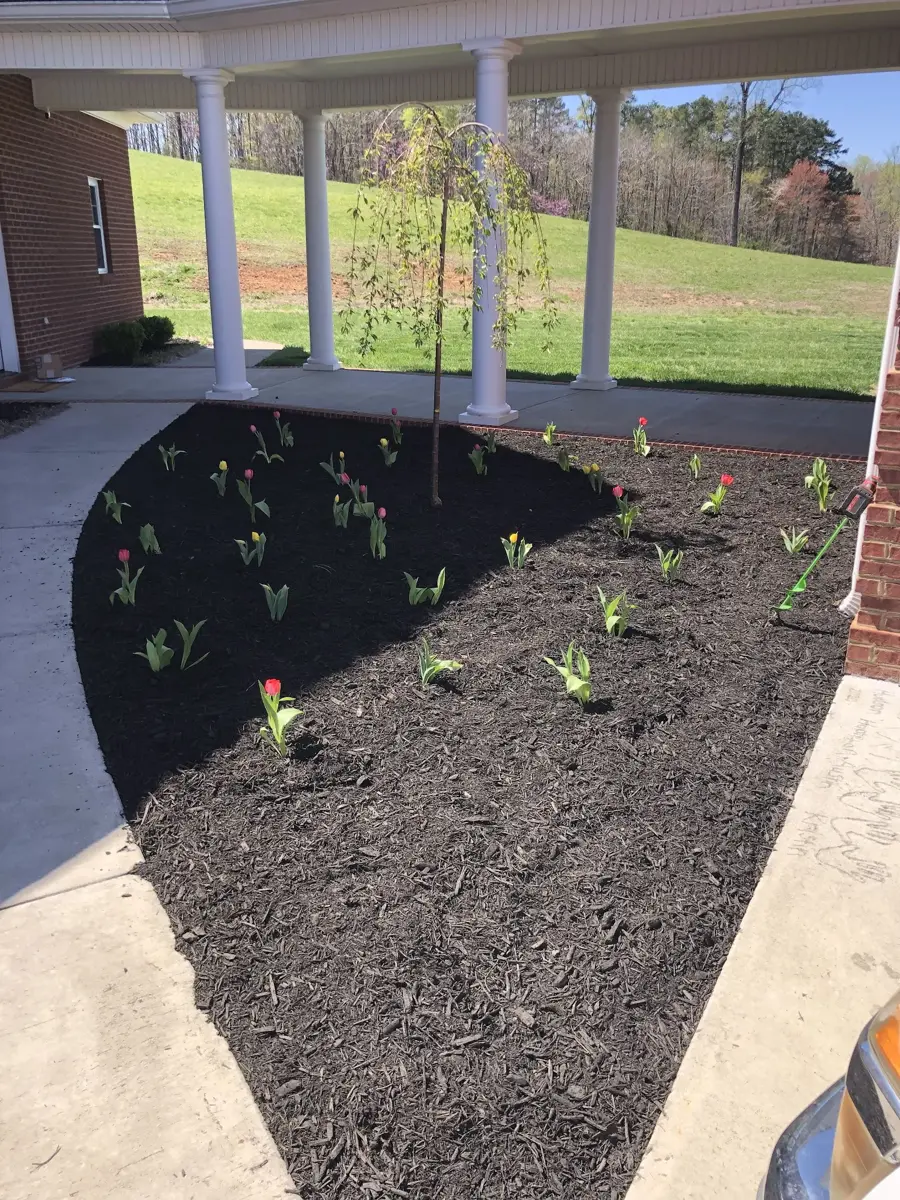 Curved bed of fresh dark mulch with young plants beside a covered porch